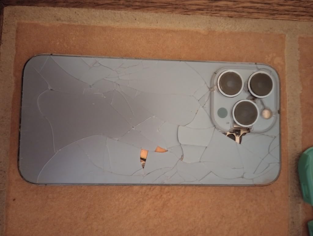 Real buyer photo 6