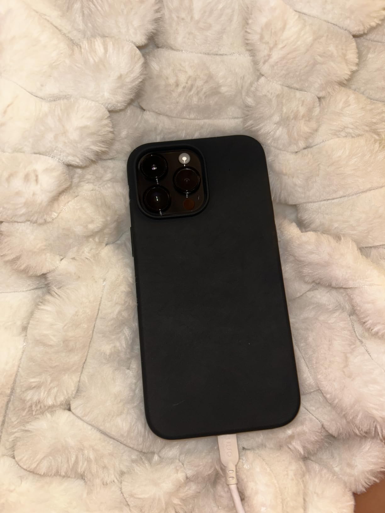 Real buyer photo 10