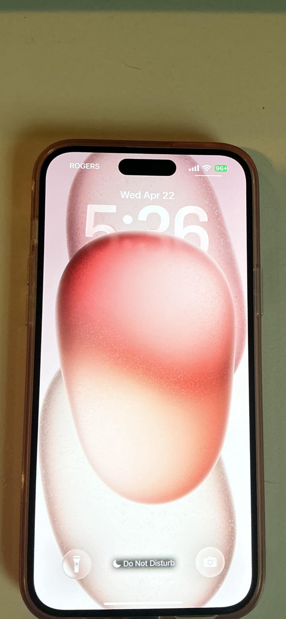 Real buyer photo 8