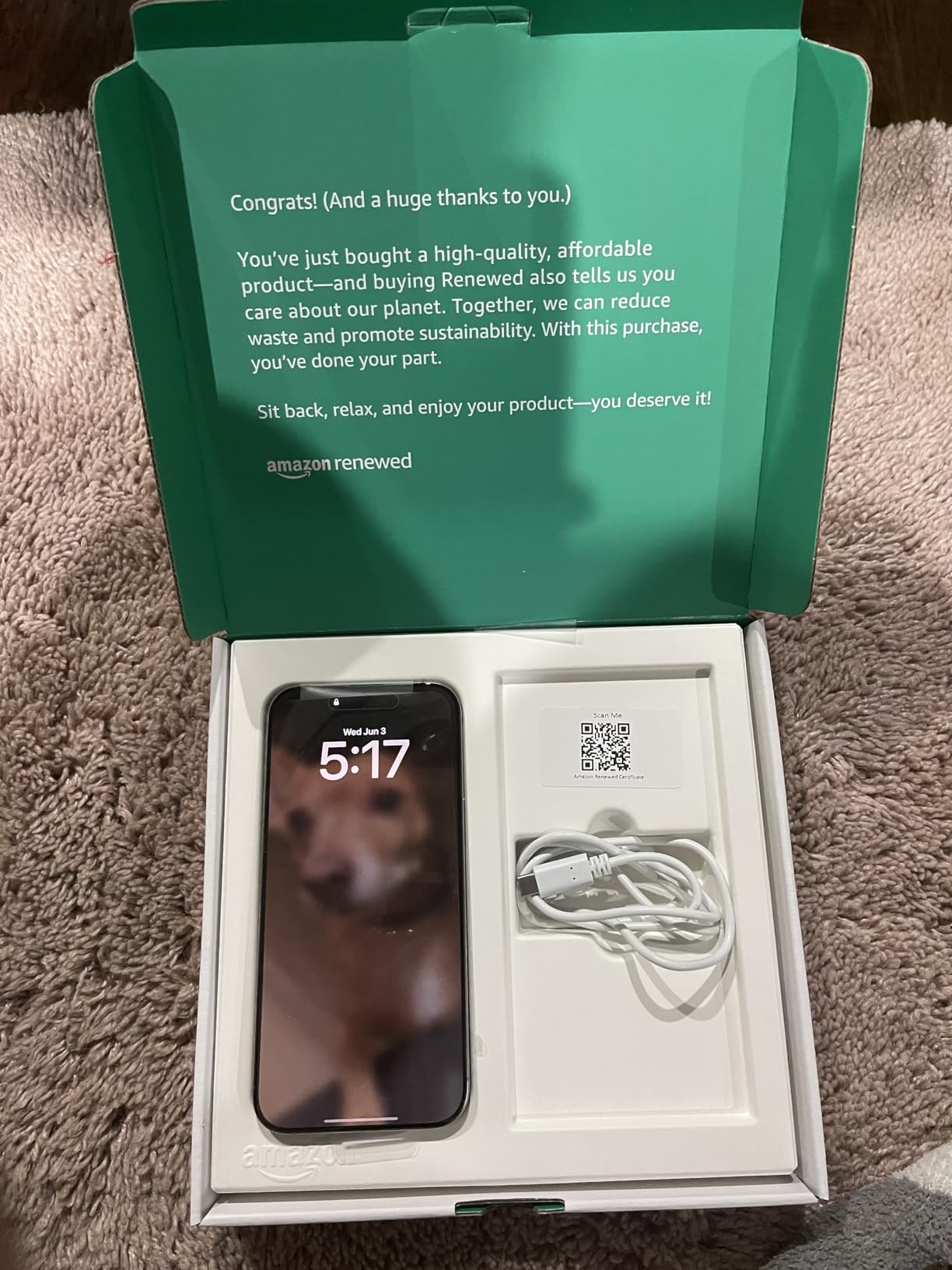 Real buyer photo 2